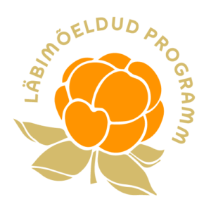 läbimõeldud programm